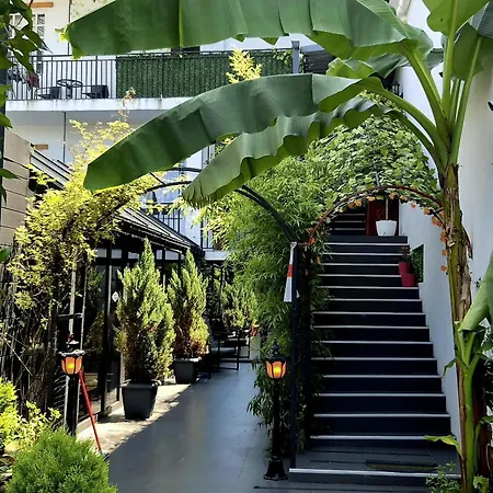 Tropical Garden-2